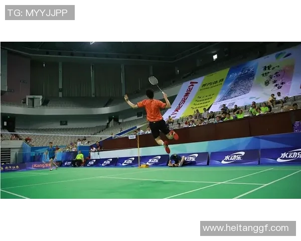 南京羽毛球队技术表现深度分析与数据解读探讨